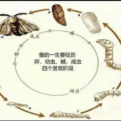 29号韩紫悦作品