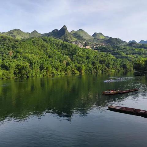 夏季出游记得“打草惊蛇”