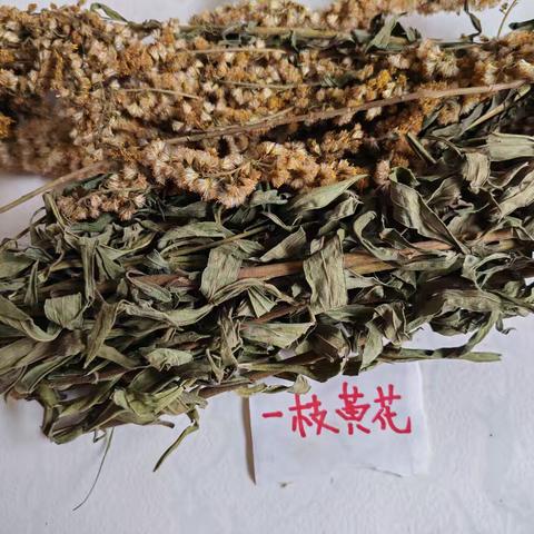 凉山州高山药材：绿色种植的自然馈赠
