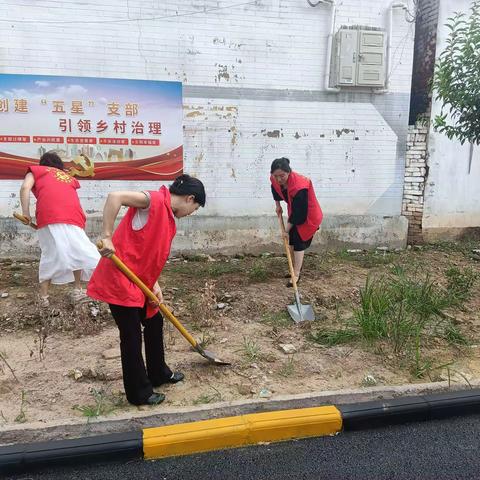 为切实推进人居环境整治工作，帮扶单位安阳市北关区疾控中心也积极主动参与了此项工作，他们在百忙之中凑出时间帮我们清理村内道路两侧的杂草和杂物，村民的居住环境幸福指数提升了，得到了群众的一致好评。