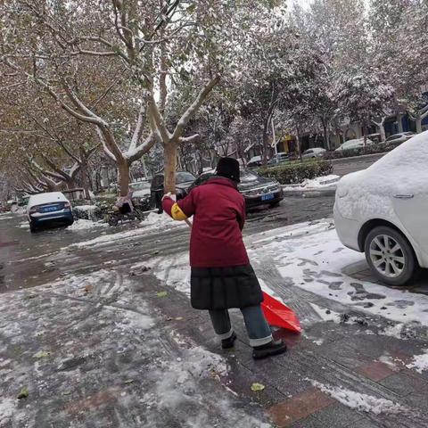 【石家庄市藁城区】开展“白雪更映志愿红 清雪除冰暖人心”主题活动