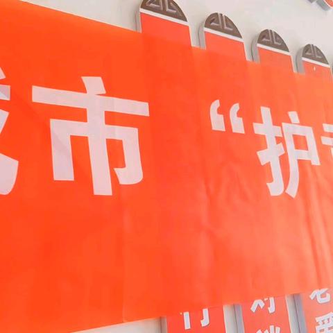 “牵手同行•滨城无孤”视频集锦