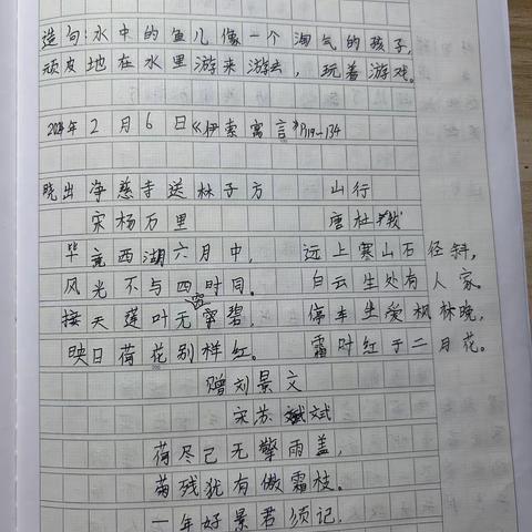 孔柏翔寒假后半期作业