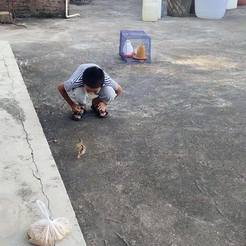 暑假生活我来晒（小作家：张思平）