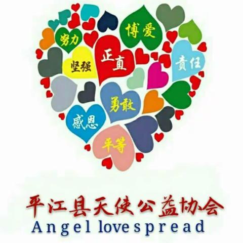 （2023年11月份）天使公益协会财务汇总