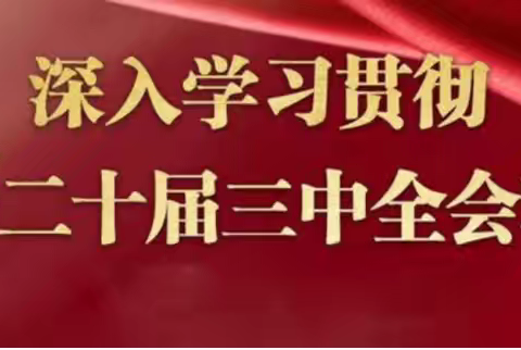 德阳市硬笔书法协会党支部 组织学习党的二十届三中全会精神