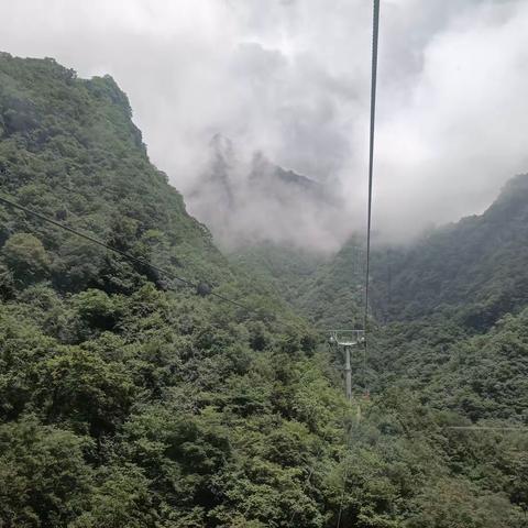 大家好，我是池阳小学五年级四班孙可雯，我正在参加池阳小学暑期活动&#34;微旅行&#34;之&#34;我是最美智慧星&#34;