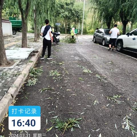 暴雨冰雹突袭过后   环卫工人忙清理