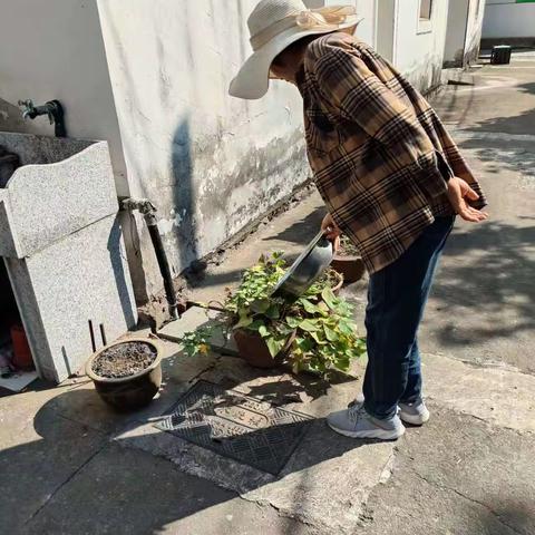 积水容器大清理