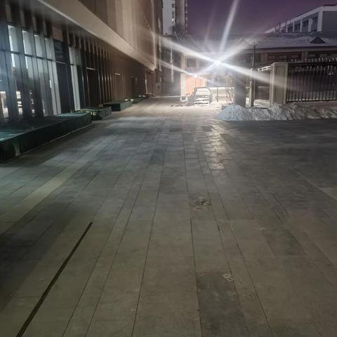 世纪天乐改造项目2023年12月29日值班记录，值班人员：张嘉龙，张博文