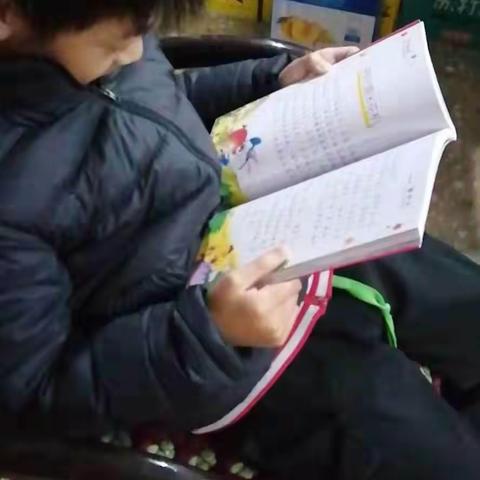 【书山有路勤为径，学海无涯苦作舟】—大周镇中心小学五年级阅读纪要