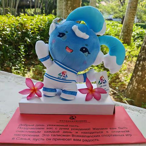 党建引领促服务，先锋岗上绽芳华 —— 南田温泉酒店党员先锋岗暖心服务外籍宾客