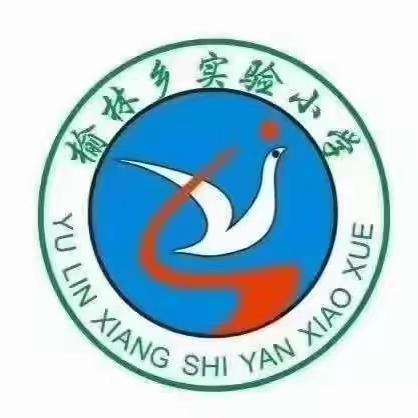 延津县榆林乡实验小学欢迎您！