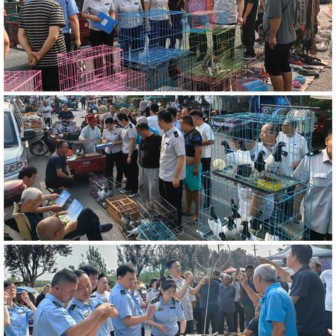 县林业工作站继续加大打击非法猎捕贩卖鸟类等野生动植物违法行为排查整治工作
