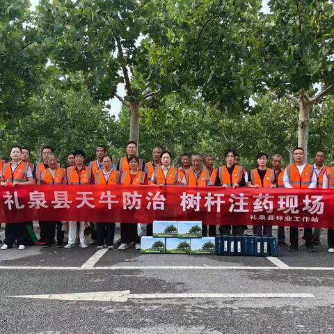 树干注药防治天牛 维护林业生态安全