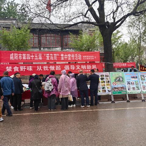 咸阳市多部门联合在袁家村开展第四十五个“爱鸟周”宣传活动