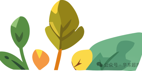 是谁“盗走”了脑部的血流——锁骨下动脉盗血综合症