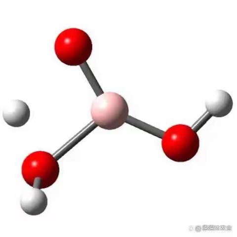 脐橙《保花保果》就用它——沃叶免疫硼肥