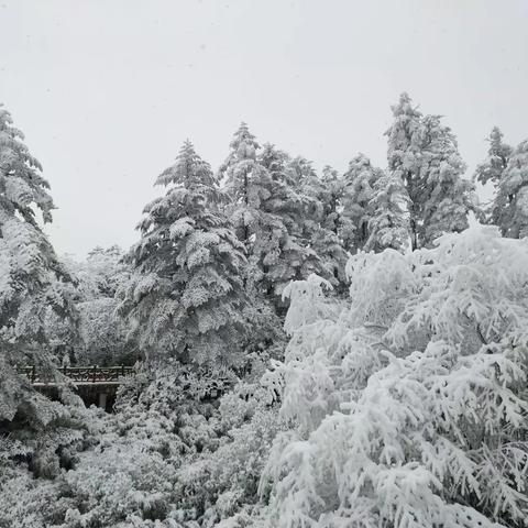 瓦屋山的雪花