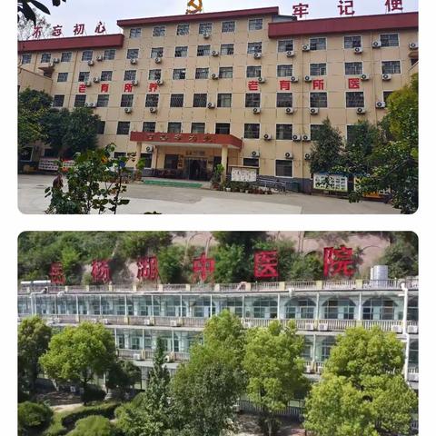 退伍军人、老党员的福音， 岳杨湖养老院让您的老年生活更精彩