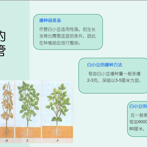 “探秘北方粮食基地”主题研学之旅