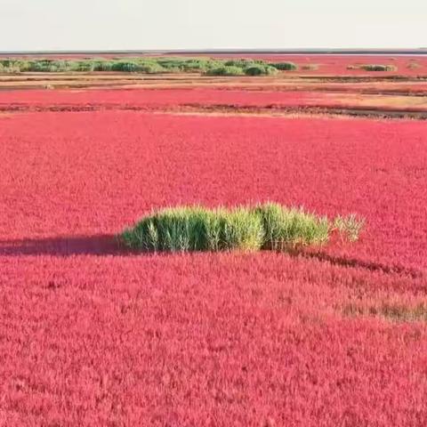 丹东光华数码———精品摄影团                （保护区之旅）