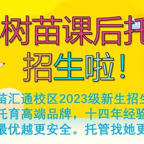 《小树苗课后托育》2023年秋季新学期招生简章