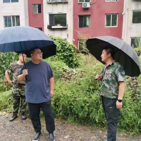 区长高飞带队深入河西街道调研督导防汛工作