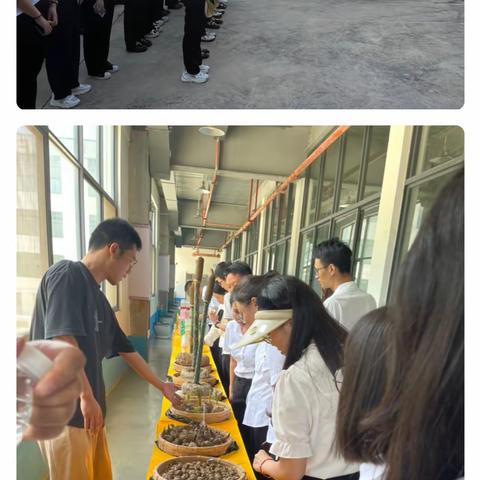 第十七期青年干部培训班开展现场教学活动