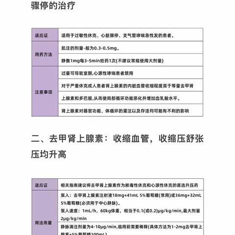 去甲肾上腺素注射液（正肾素）