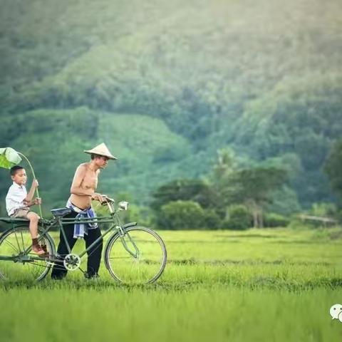 中考后才醒悟，普通校“鸡头”和重点校“凤尾”的差距太大了！