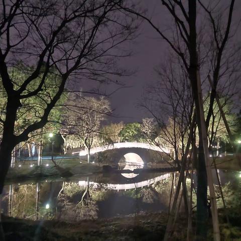 湖海塘夜景
