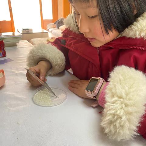 一亿粒大米有多重？