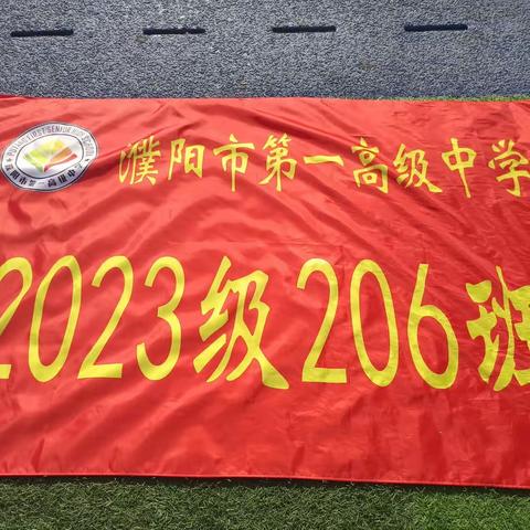 天行健，君子以自强不息！濮阳市一高2023级高一【二级部206班】军训篇