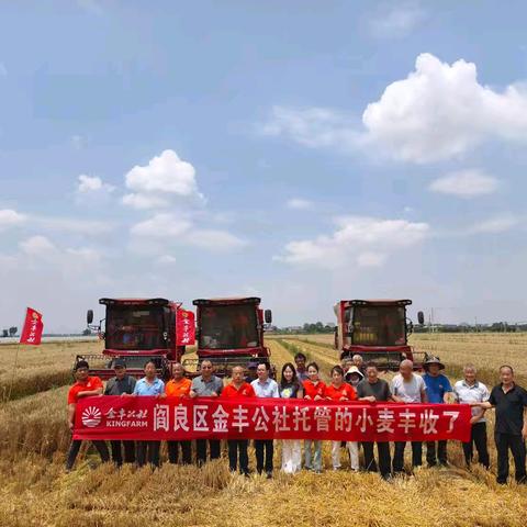 风吹麦田千层浪，又到一年收获时