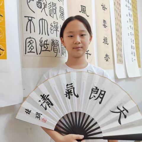 墨雨书法毛笔学员扇面作品展