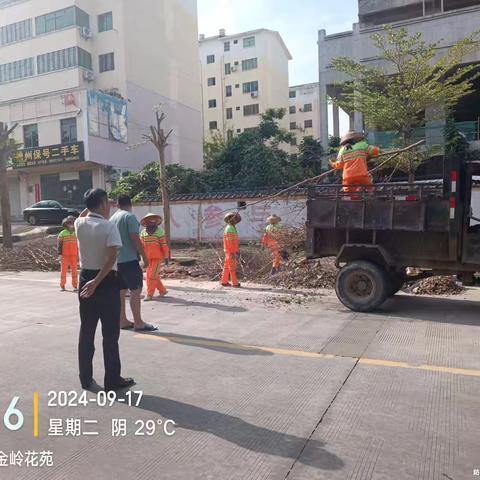 东风社区开展台风"摩羯"灾后恢复工作