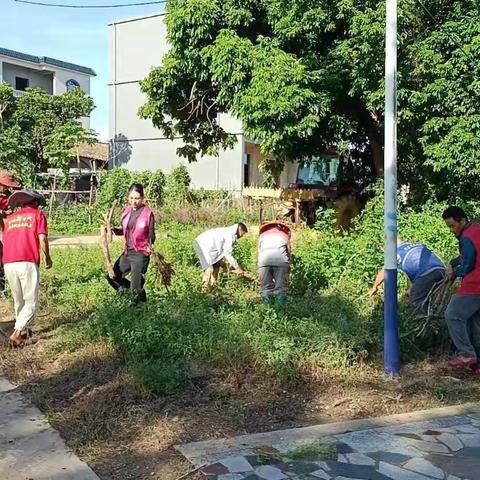 益新村清洁家园行动：志愿者助力环境焕新