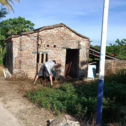 益新村开展防治蚊虫孳生地环境卫生整治活动