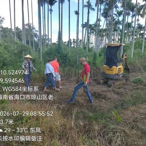 非粮化整治工作宣传