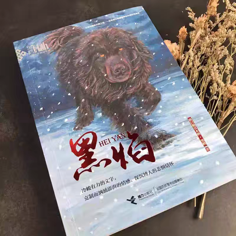 快乐阅读，浸润书海 ——温州籀园小学 2021级3班陈圣哲