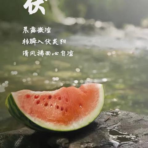 冬病夏治“三伏天”