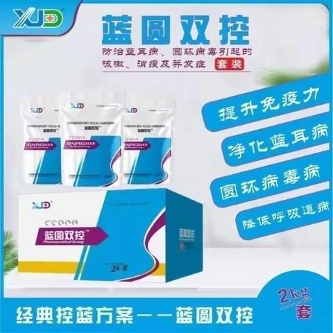 猪圆环与支原体肺炎临床症状表现及防控