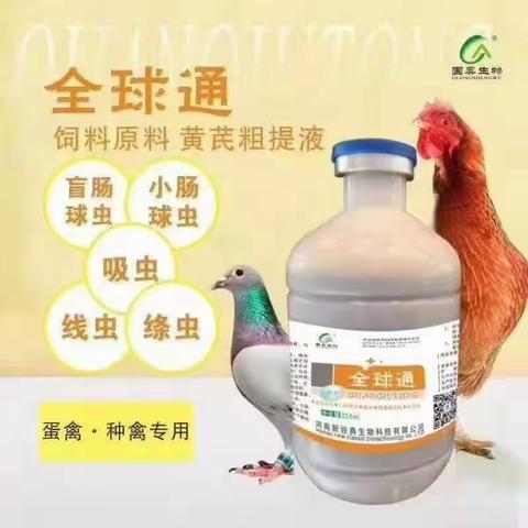 全球禽流感来袭：这里约750万只鸡被扑杀！