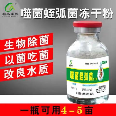 试验揭秘多大量弧菌感染会导致急性肝胰腺坏死！