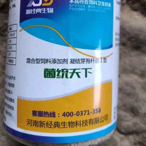 夏季高温频发细菌性烂鳃如何应对？