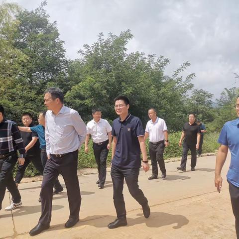 临潼区召开穆寨街办山水项目现场会