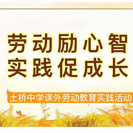 劳动励心智  实践促成长——土桥中学开展课外劳动教育实践活动