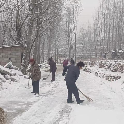 冬雪是景     除雪是情