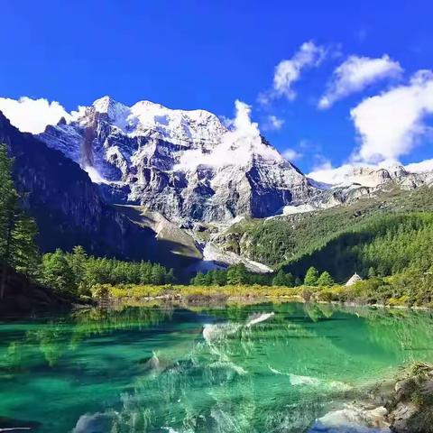 大美川西——李金明